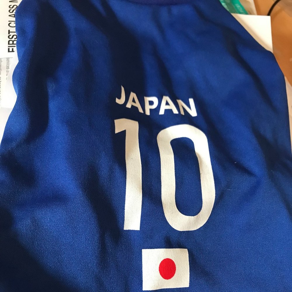 Dog Shirt for Small dog